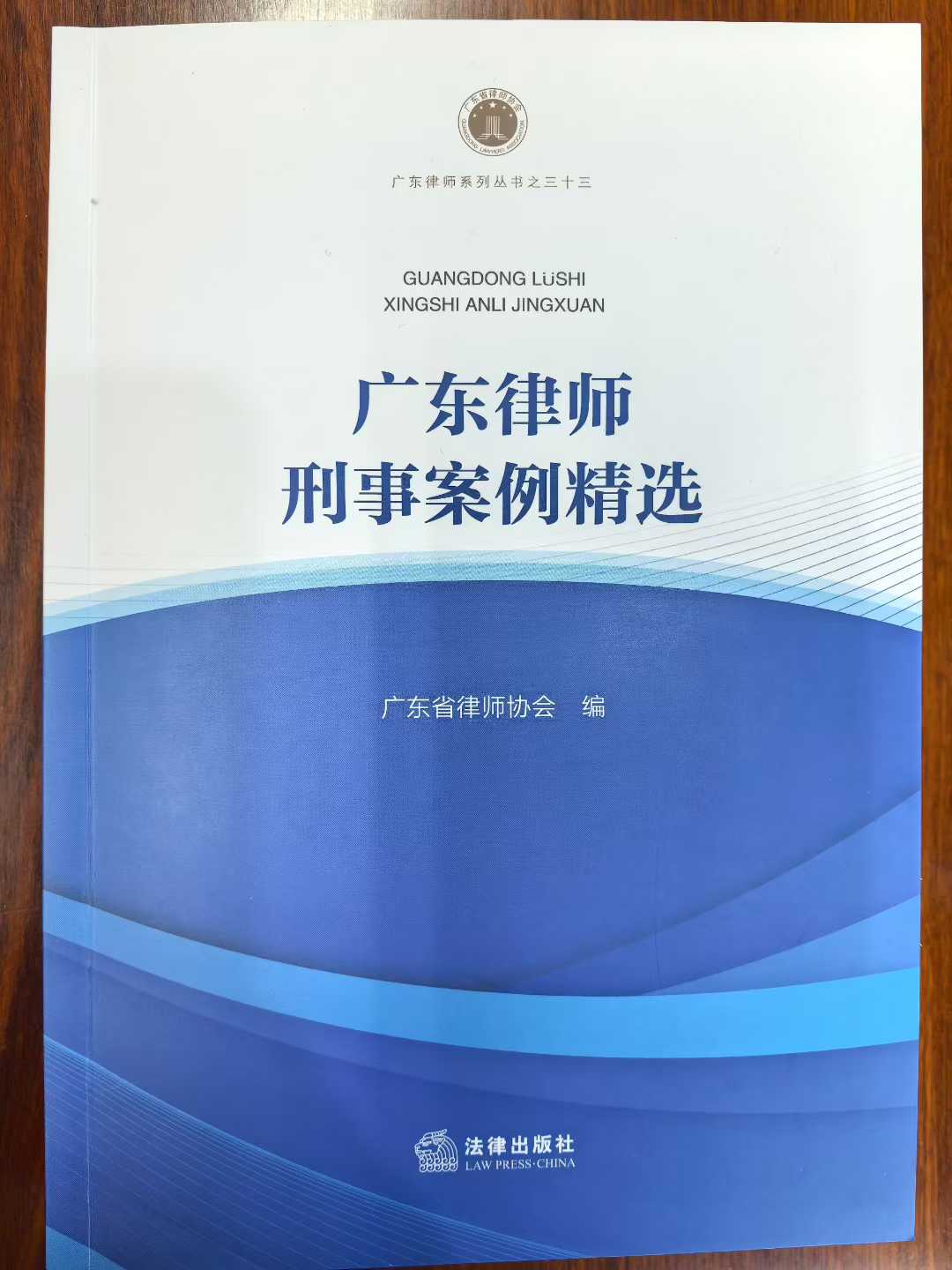 陈维崧律师经办的两个案例入选《广东律师刑事案例精选》