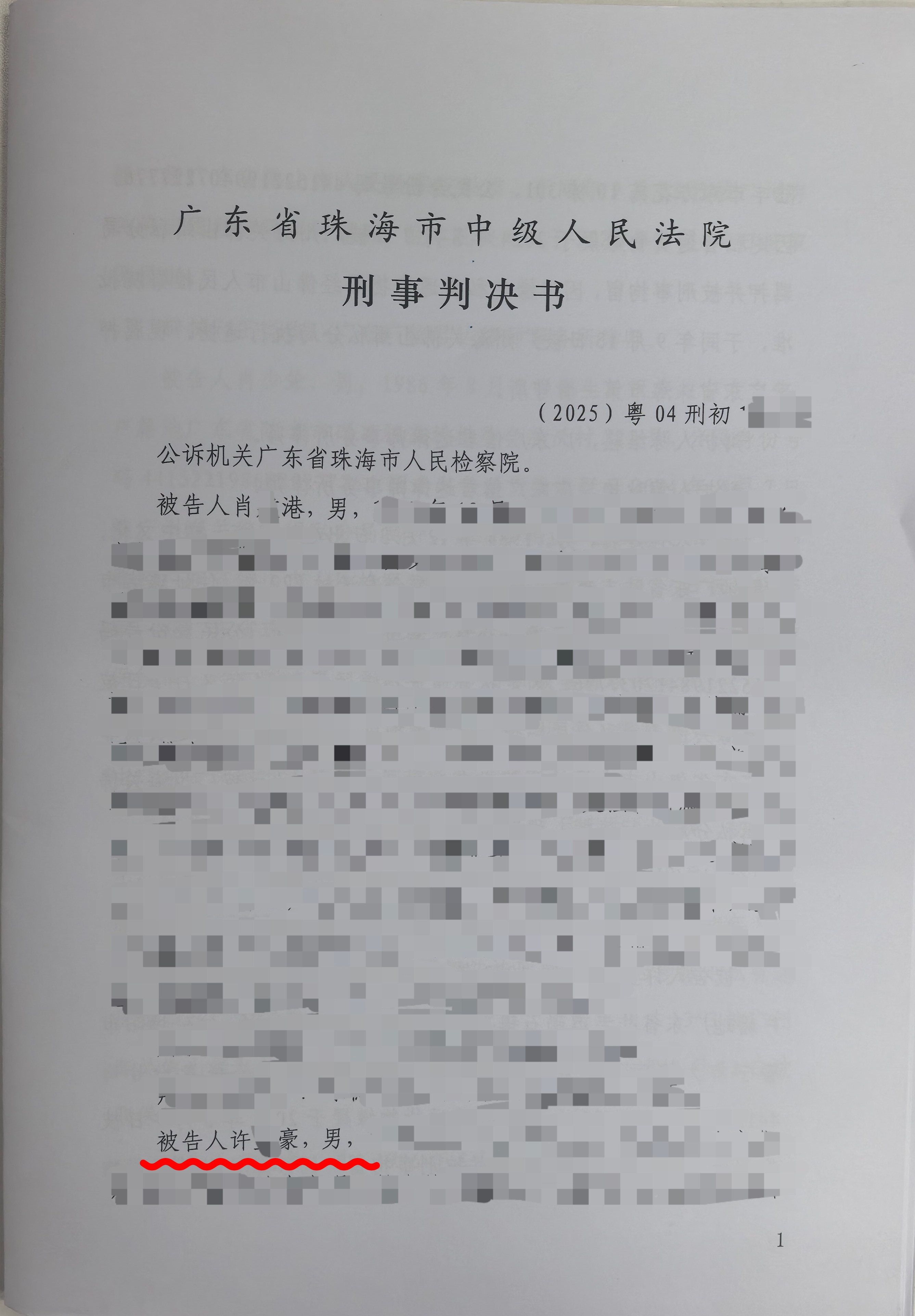 【轻判】陈维崧律师经办的许某豪走私普通货物（偷逃应缴税款6365万）、洗钱（涉案金额4322万）案判五年